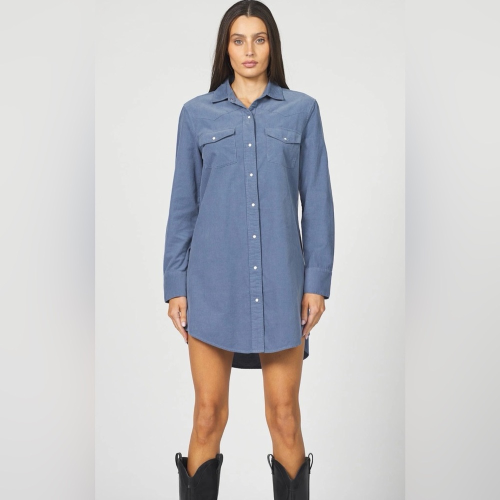 Dear John Rory Dusty Blue Corduroy dress size Small